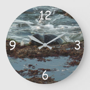 Sunset Lit Harbour Siegel I in San Diego Große Wanduhr