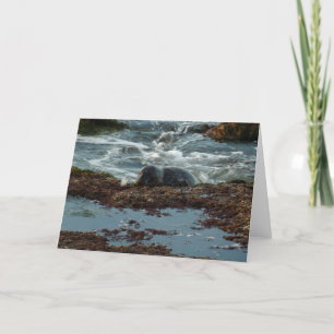 Sunset Lit Harbour Siegel I in San Diego Karte