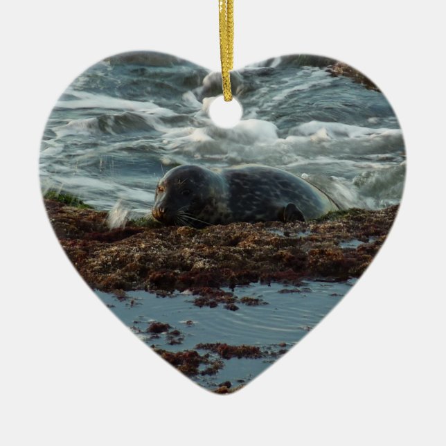 Sunset Lit Harbour Siegel I in San Diego Keramik Ornament (Vorne)