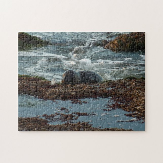 Sunset Lit Harbour Siegel I in San Diego Puzzle (Horizontal)