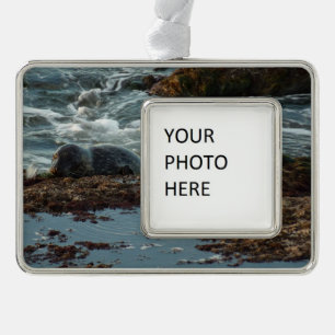 Sunset Lit Harbour Siegel I in San Diego Rahmen-Ornament Silber