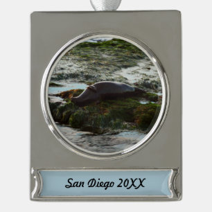 Sunset Lit Harbour Siegel II in San Diego Banner-Ornament Silber