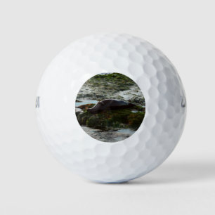 Sunset Lit Harbour Siegel II in San Diego Golfball