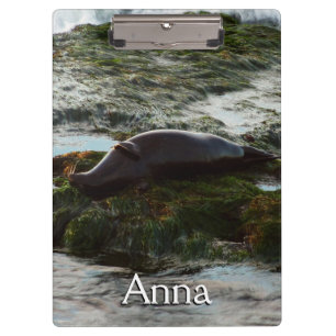 Sunset Lit Harbour Siegel II in San Diego Klemmbrett