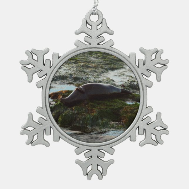 Sunset Lit Harbour Siegel II in San Diego Schneeflocken Zinn-Ornament (Vorderseite)
