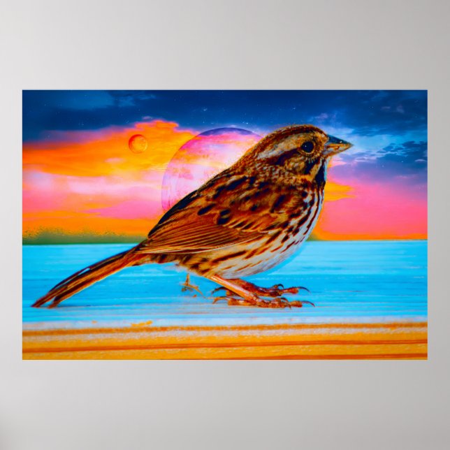 Sunset Melody Poster (Vorne)