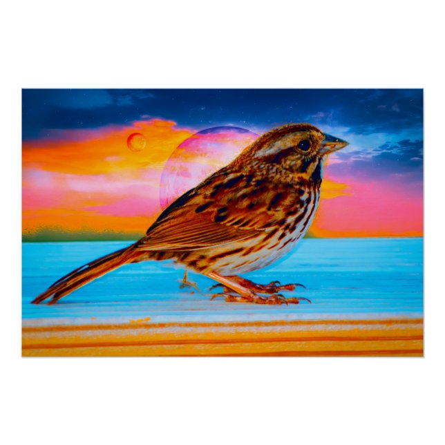 Sunset Melody Poster (Vorderseite)