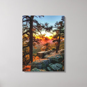 Sunset Mogollon Rim Arizona Pine Trees 18x24 Leinwanddruck