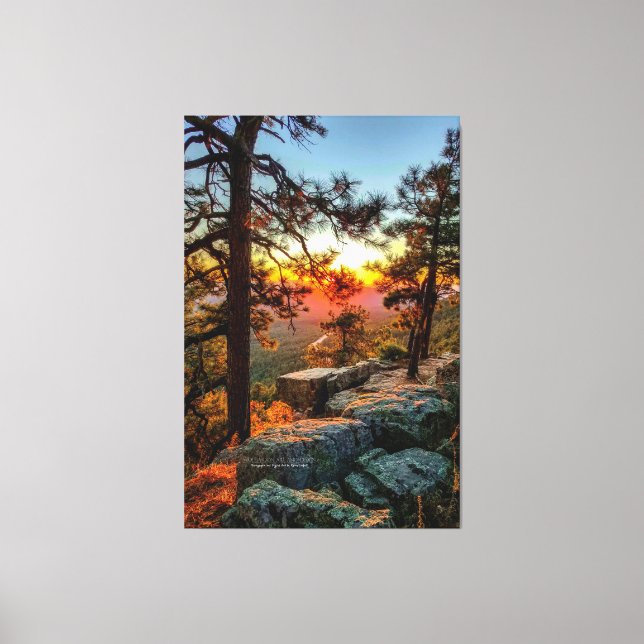 Sunset Mogollon Rim Arizona Pine Trees 40x60 Leinwanddruck (Vorderseite)