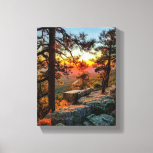 Sunset Mogollon Rim Arizona Pine Trees 8x10 Leinwanddruck