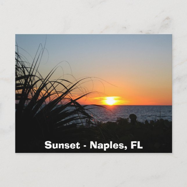 Sunset - Neapel, FL Postkarte (Vorderseite)