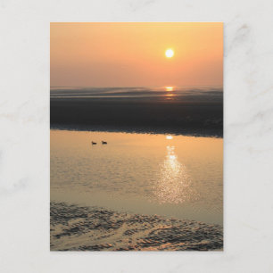 Sunset - Neue Helligkeit Postkarte