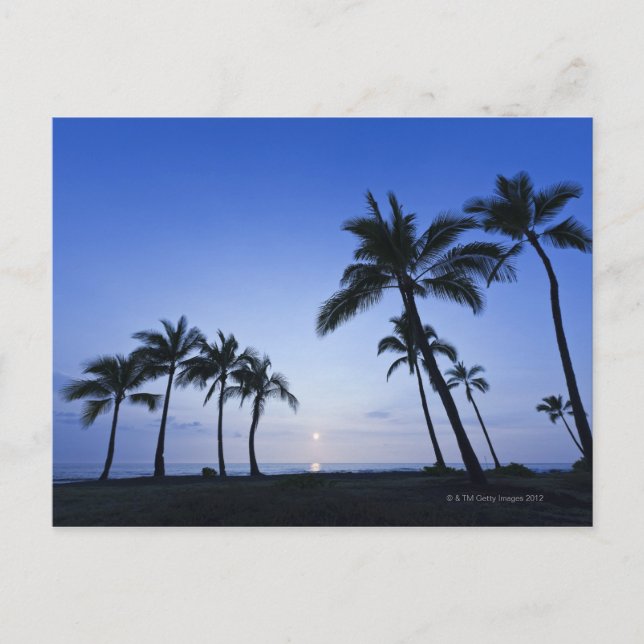 Sunset on Kahaluu Bay in Kona, Hawaii Postkarte (Vorderseite)