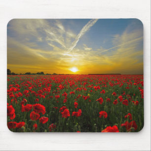 Sunset on Poppyfield - HAMbyWhiteGlove Mousepad