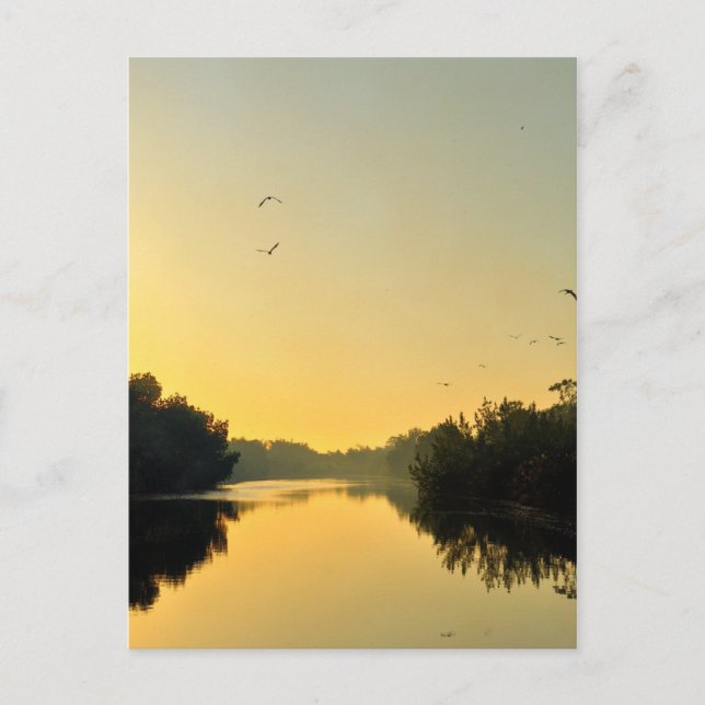 Sunset on the Negril River Postkarte (Vorderseite)