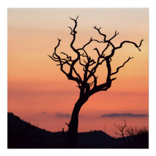 Sunset over Madikwe Poster