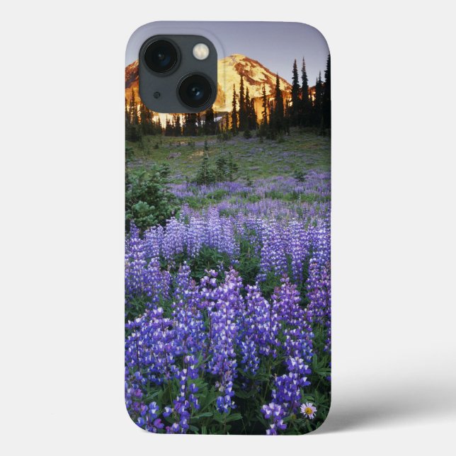 Sunset over Mt. Adams and a sub-alpine meadow Case-Mate iPhone Hülle (Rückseite)