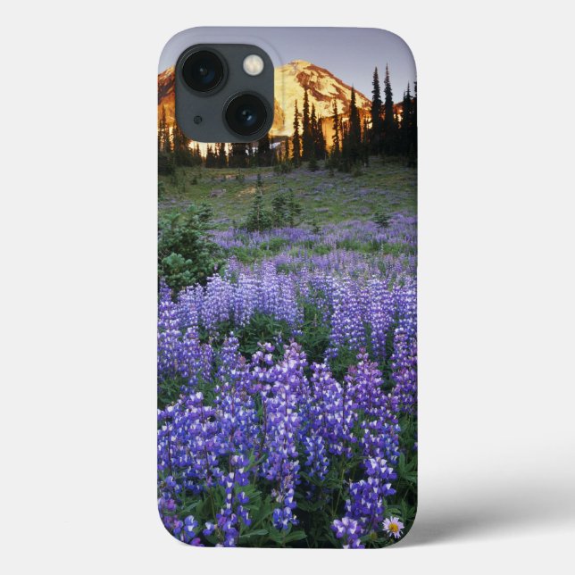 Sunset over Mt. Adams and a sub-alpine meadow Case-Mate iPhone Hülle (Rückseite)