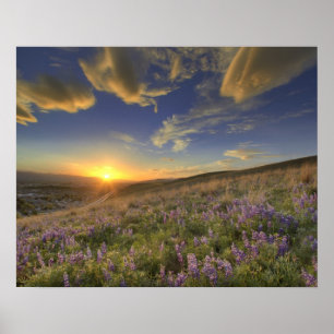 Sunset over the Bitterroot Mountains and vast Poster