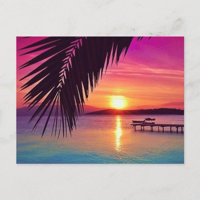 Sunset Palm Postcard Postkarte (Vorderseite)