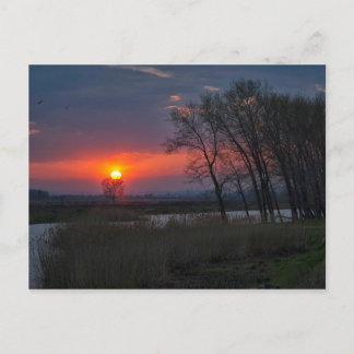 Sunset Pocket Postkarte