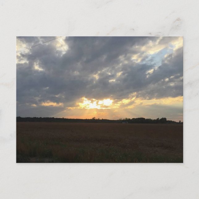 Sunset Postcard Postkarte (Vorderseite)