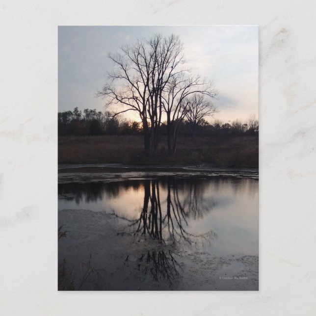 Sunset Reflection Foto Postkarte (Vorderseite)