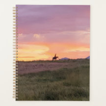 Sunset Ride Planner