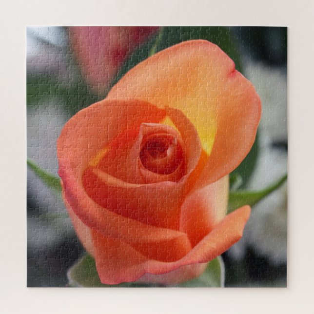 Sunset Rose Jigsaw Puzzle (Vertikal)