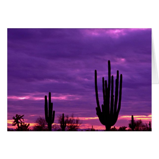 Sunset, Scottsdale, Arizona (Vorderseite (Horizontal))