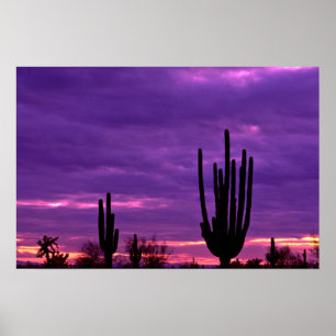 Sunset, Scottsdale, Arizona Poster