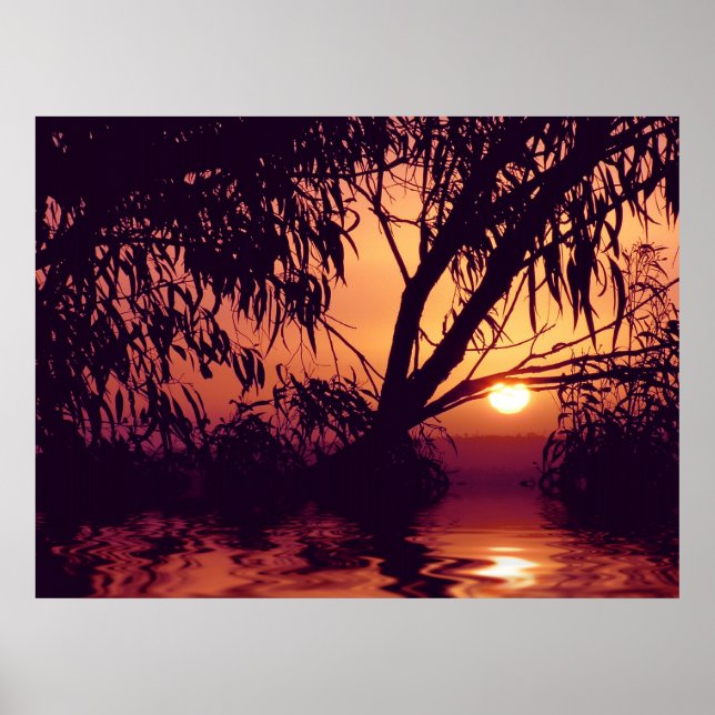Sunset Silhouette Habitat Poster (Vorne)