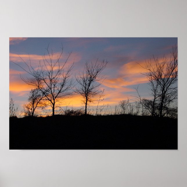 Sunset Sillouette Poster (Vorne)