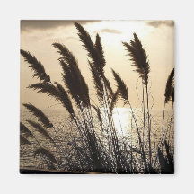 Sunset Square Magnet