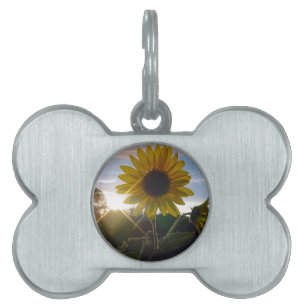 Sunset Sunflower Pet Tag Tiermarke