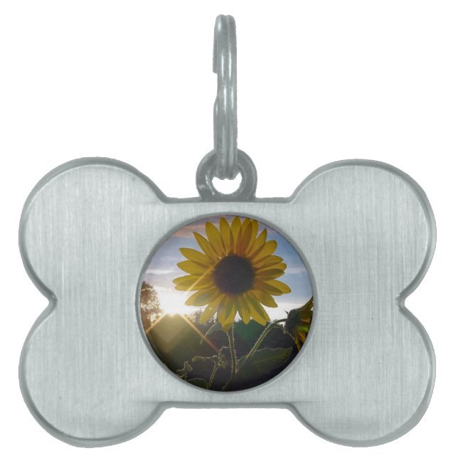 Sunset Sunflower Pet Tag Tiermarke (Vorderseite)