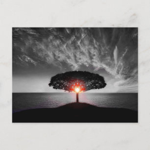 Sunset Sunrise Postkarte