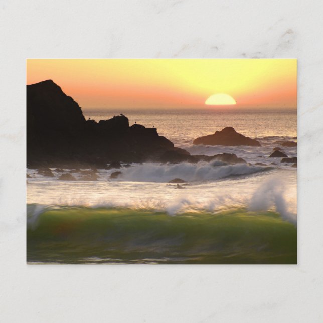 Sunset Surfer Postkarte (Vorderseite)