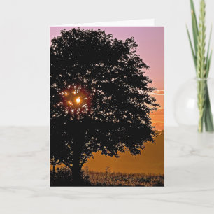 Sunset Tree Beileid Karte