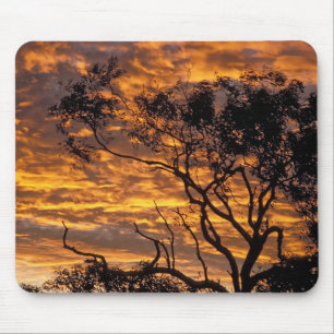 Sunset, Uluru-Kata Tjuta Nationalpark, Mousepad