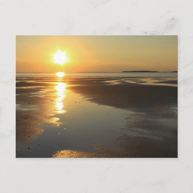 Sunset Wellfleet Bay Wildlife Sanctuary Cape Cod Postkarte (Vorderseite)