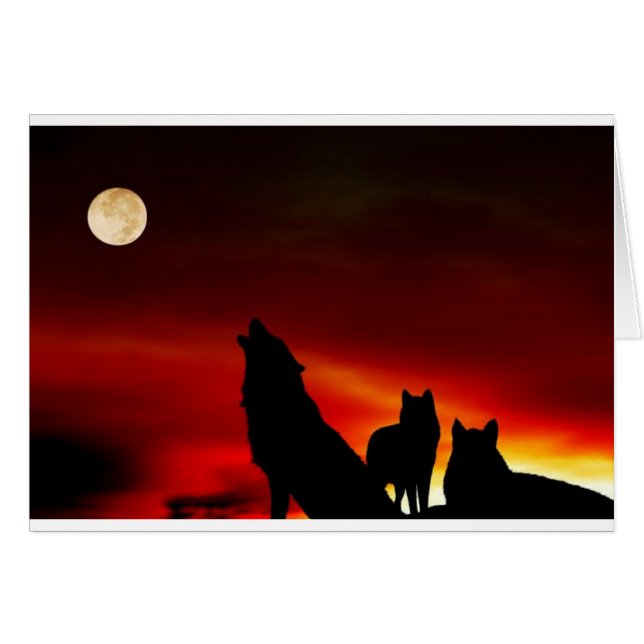 Sunset Wolves (Vorderseite (Horizontal))