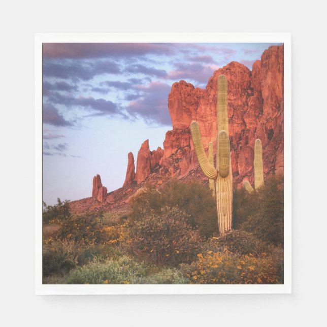 Sunset Wüste Arizona Staat Serviette (Vorderseite)