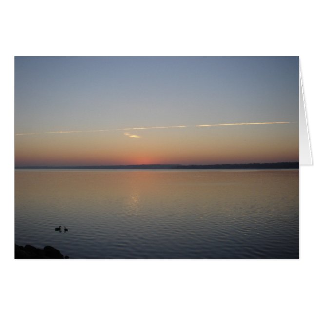 Sunshine (Vorderseite (Horizontal))