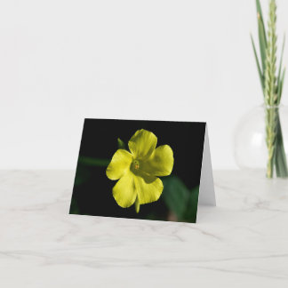 Sunshine Blume Karte