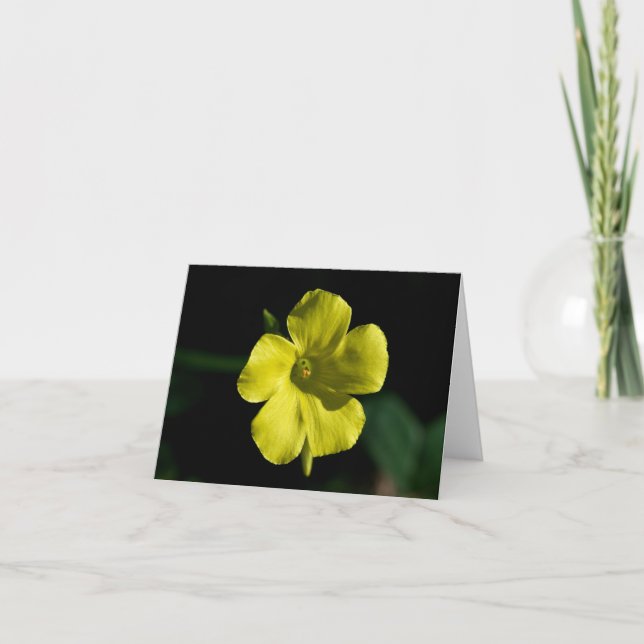 Sunshine Blume Karte (Vorderseite)