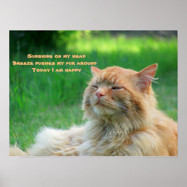 Sunshine Breeze Happy Cat Haiku Poster (Vorne)