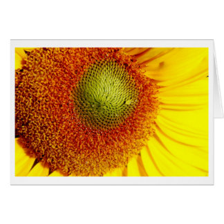 Sunshine Center