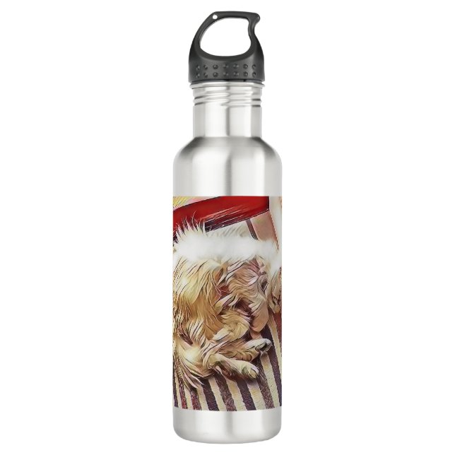 Sunshine Charlie Persian Cat Merchandise Edelstahlflasche (Vorderseite)