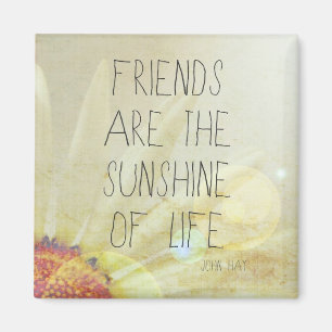 Sunshine & Freundschaft Magnet